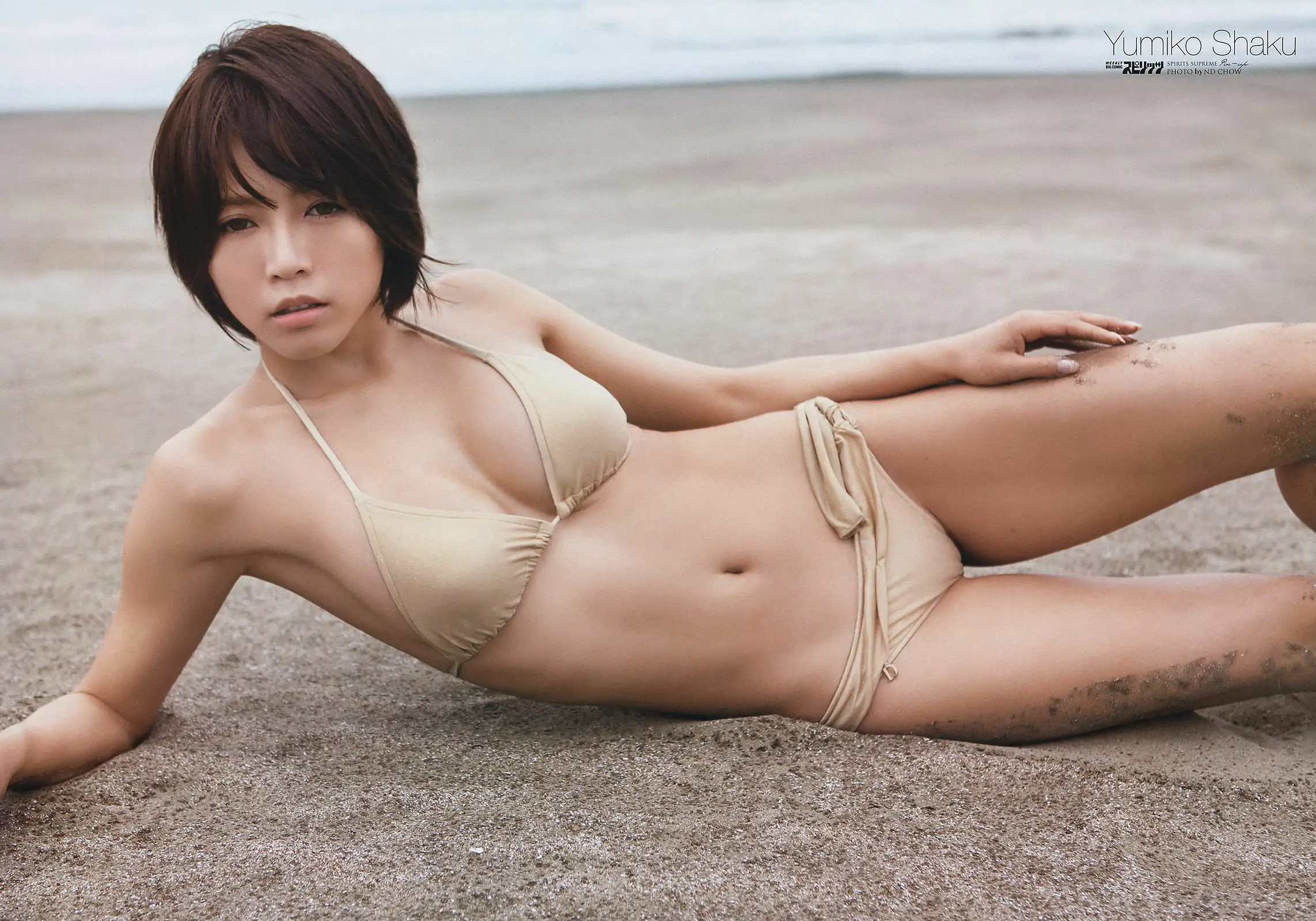 [Weekly Big Comic Spirits] 2013年No.51 釈由美子