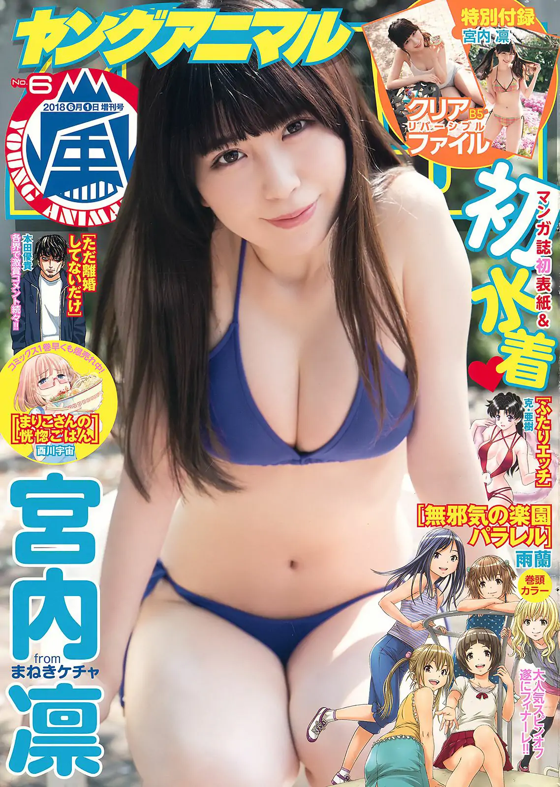 Rin Miyauchi 宮内凛 [Young Animal Arashi] 岚特刊2018年No.06 写真杂志