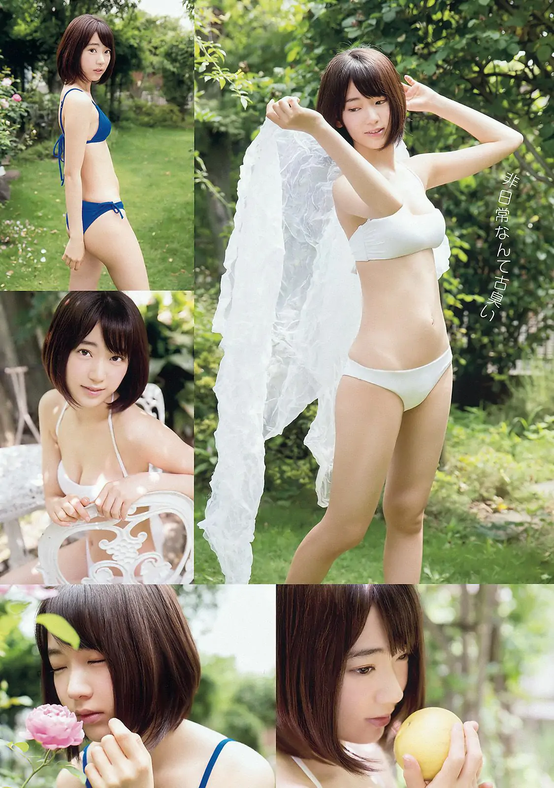 宮脇咲良 山本茉央 渕上舞 [Young Animal] 2015年No.17 写真杂志