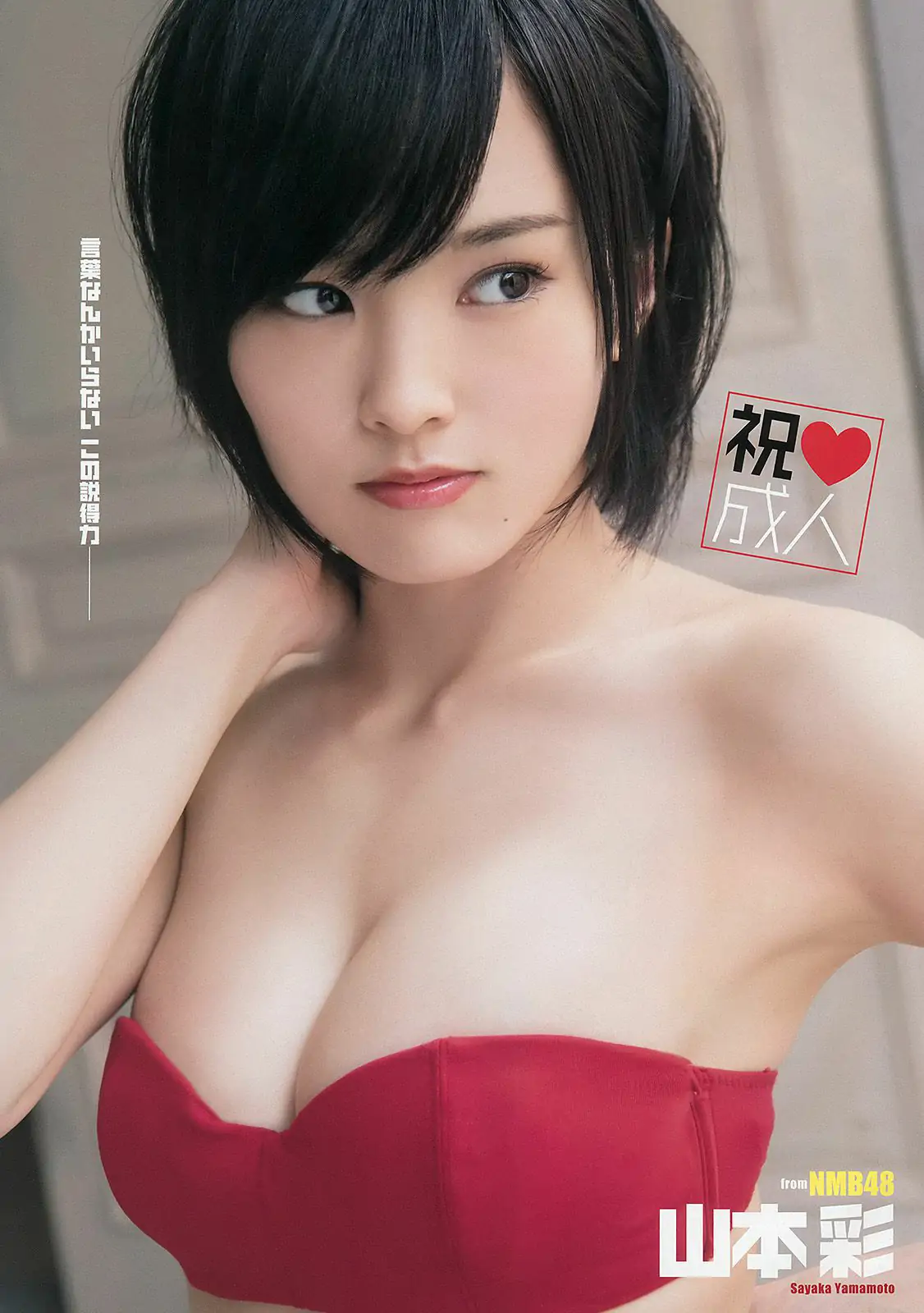 山本彩 後藤郁 [Young Animal] 2014年No.03 写真杂志