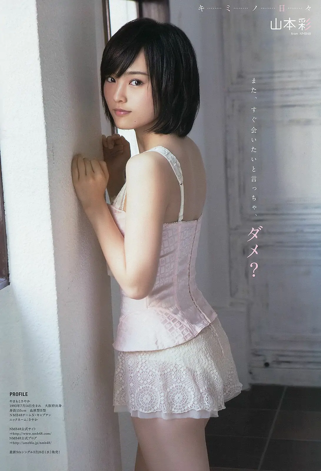 星名美津紀 山本彩 [Young Animal] 2014年No.06 写真杂志