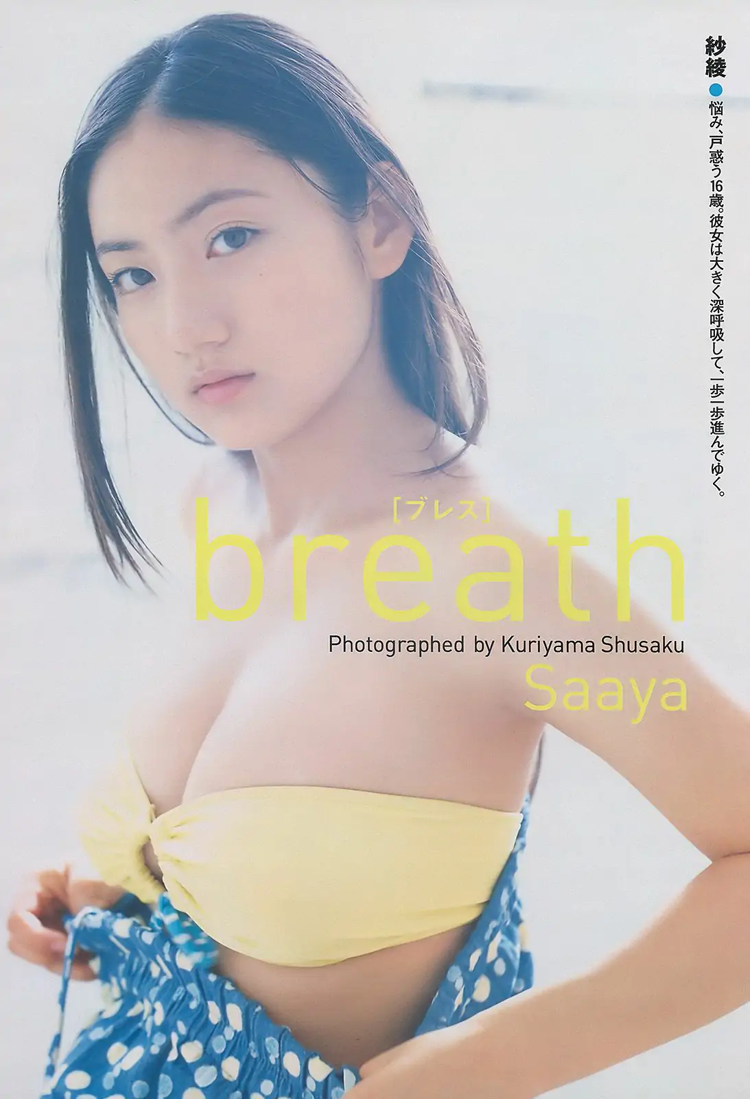 紗綾 水沢奈子 森田美位子 池脇千鶴 手島優 皆藤愛子 [Weekly Playboy] 2010年No.11 写真杂志