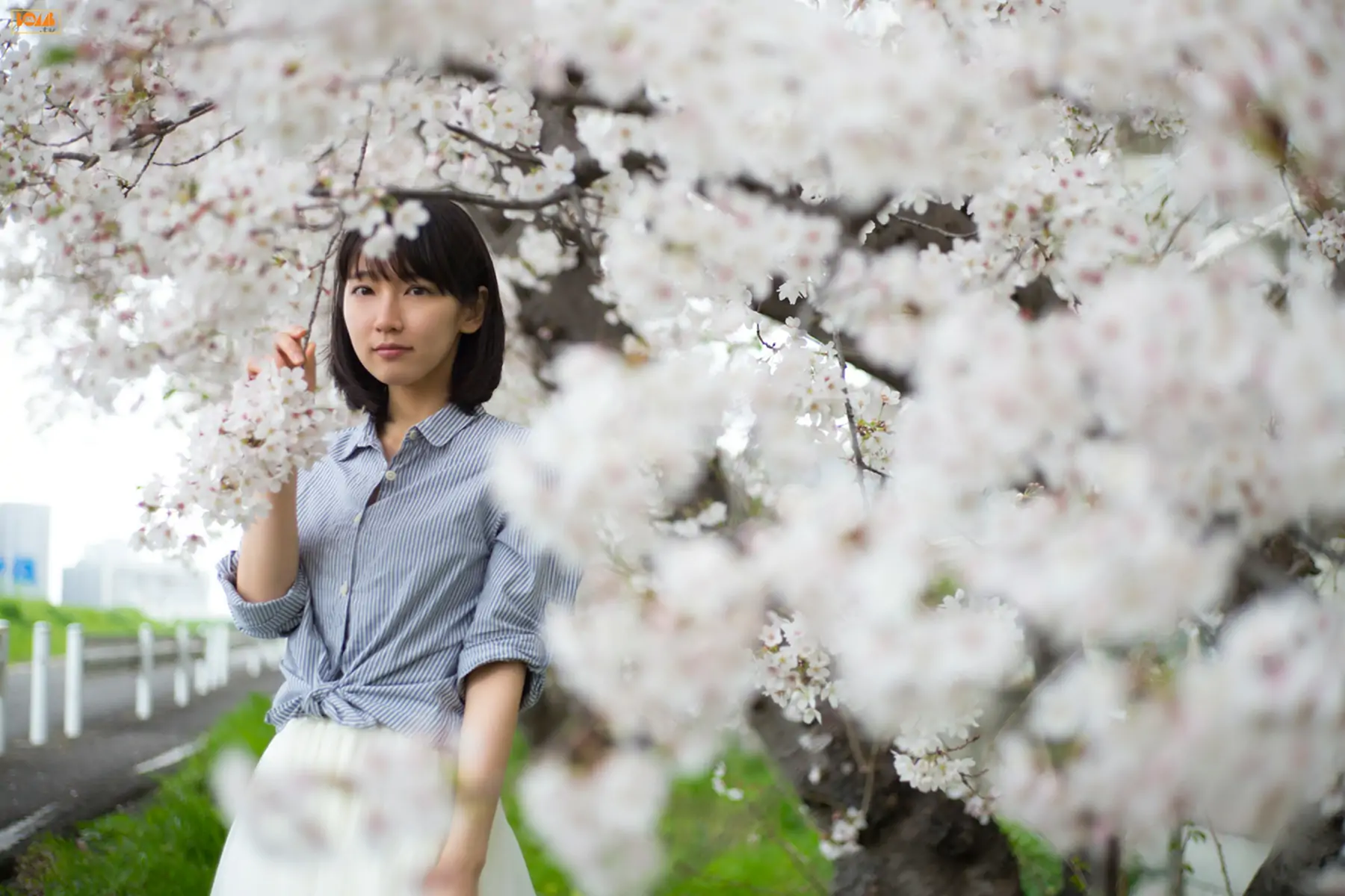 吉岡里帆《キミとボクのデートプラン》 [Bomb.TV] 2015年06月号