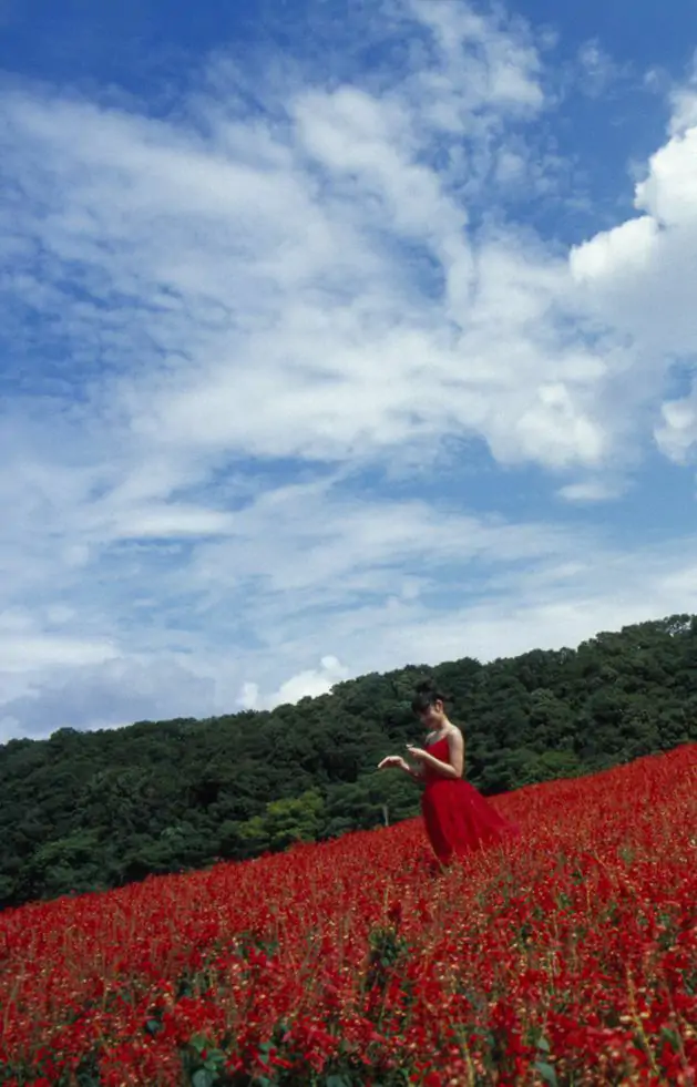 Sayumi Michishige 道重さゆみ [Hello! Project Digital Books] Vol.08