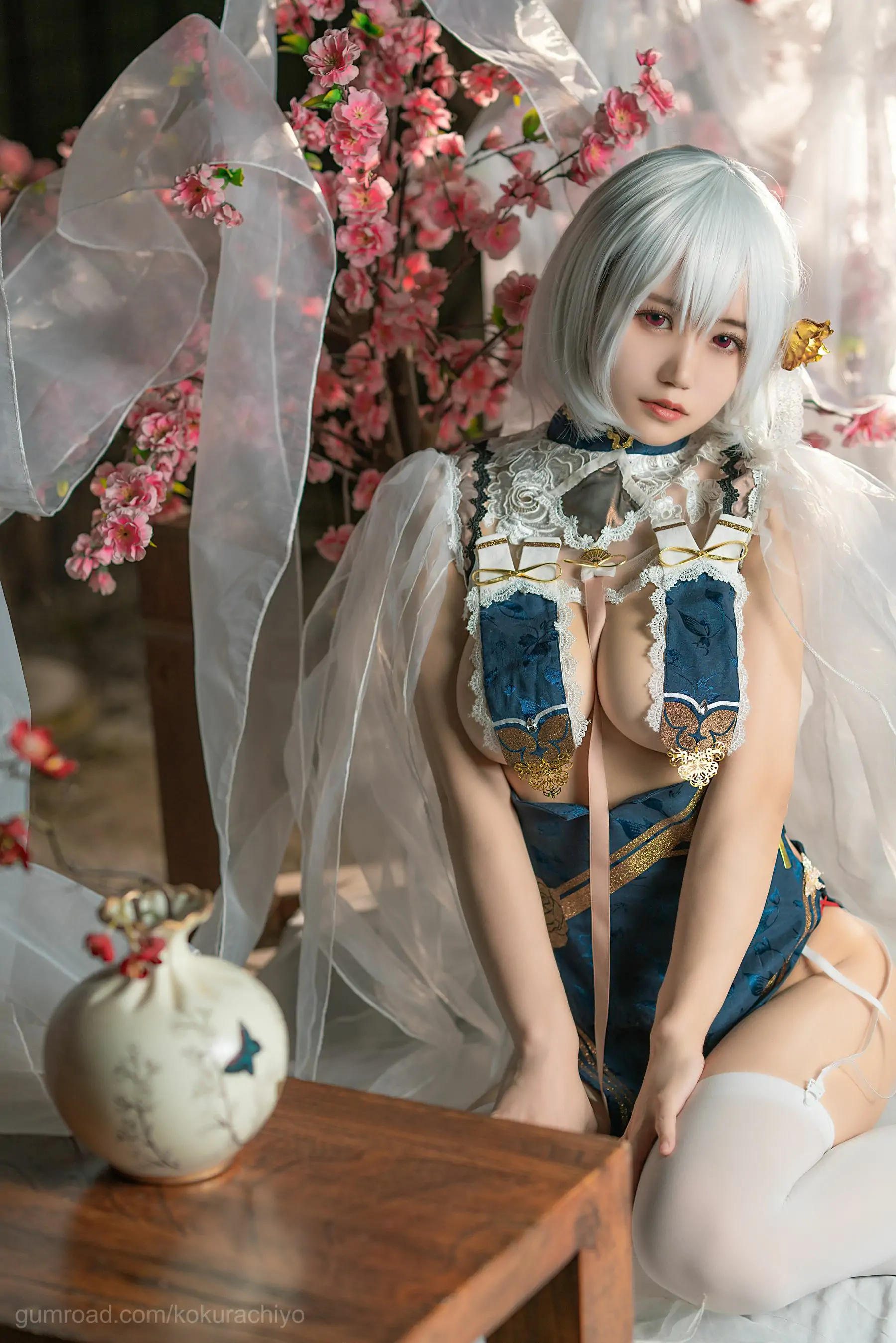 [福利COS] 动漫博主小仓千代w - 天狼星旗袍